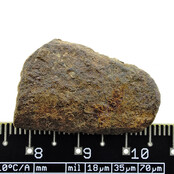 Iron meteorite from the Atlas Mountains