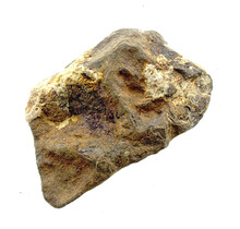 Iron meteorite from the Atlas Mountains