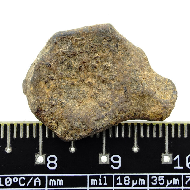 Iron meteorite from the Atlas Mountains Iron meteorite from the Atlas Mountains