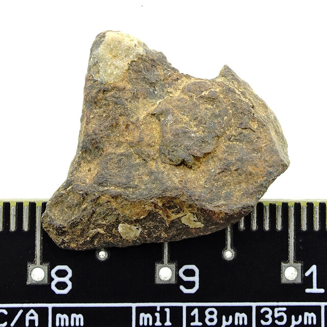 IJzermeteoriet uit het Atlas gebergte