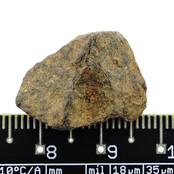 Iron meteorite from the Atlas Mountains