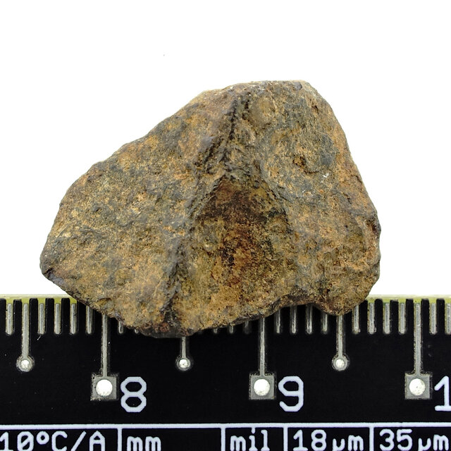 Iron meteorite from the Atlas Mountains
