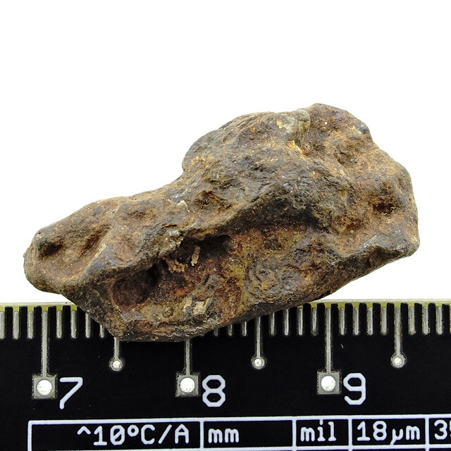 Eisenmeteorit aus dem Atlasgebirge