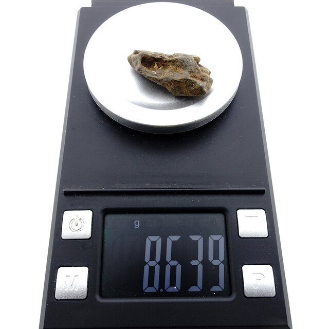 Iron meteorite from the Atlas Mountains