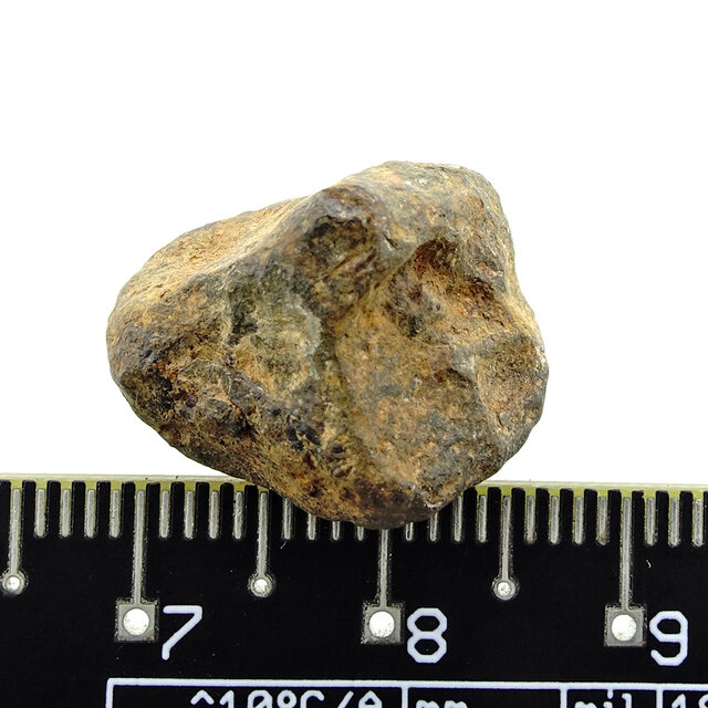 Iron meteorite from the Atlas Mountains