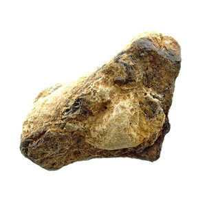 Agoudal meteorite