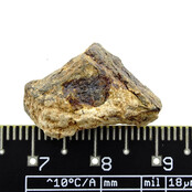 Iron meteorite from the Atlas Mountains