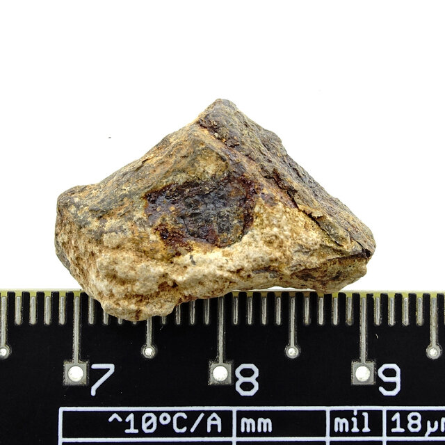 Iron meteorite from the Atlas Mountains
