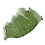 Moldavite from Czech Republic