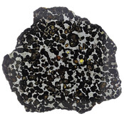 Pallasite meteorite from Habaswein Kenya
