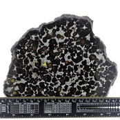 Pallasit Meteorit Habaswein Kenia