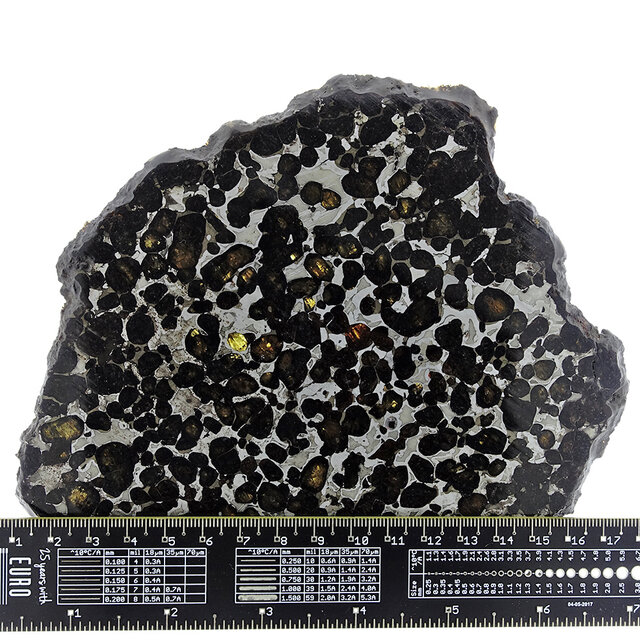 Pallasit Meteorit Habaswein Kenia