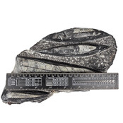 Orthoceras  1350 Gramm Orthoceras  1350 Gramm