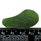 Moldavite from Czech Republic