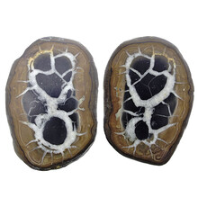 Septarian pair