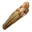 Real dinosaur tooth from a Spinosaurus