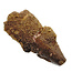 Real dinosaur tooth from a Spinosaurus