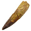 Real dinosaur tooth from a Spinosaurus