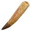 Real dinosaur tooth of the spinosaurus 9,5 cm