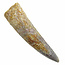 Real dinosaur tooth of the spinosaurus 8 cm