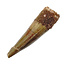 Pterosaur tooth from Morocco