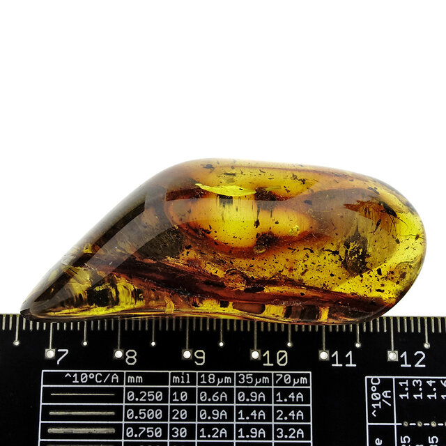 Baltic amber with enclosed fly