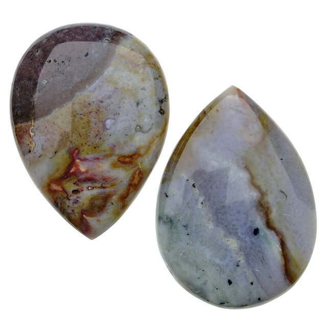 Ozeanjaspis aus Madagaskar