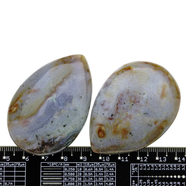 Ozeanjaspis aus Madagaskar