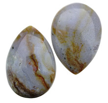 Ozeanjaspis aus Madagaskar