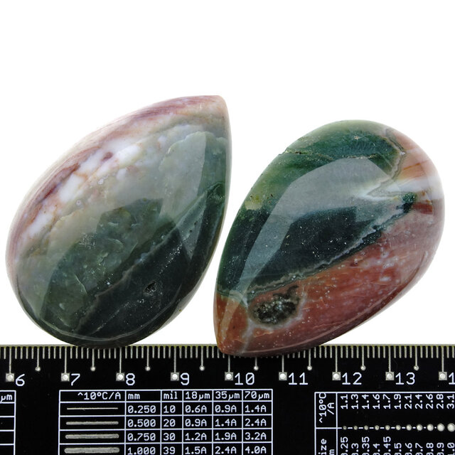 Ozeanjaspis aus Madagaskar