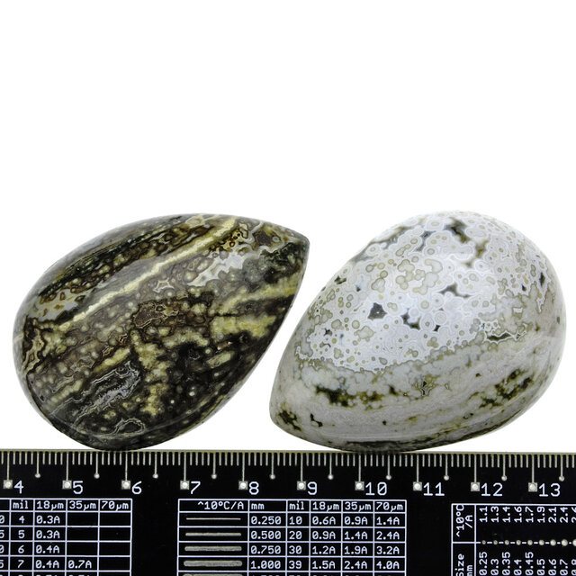 Ozeanjaspis aus Madagaskar