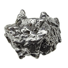 Campo del Cielo meteoriet