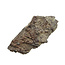 Calate 002 meteorite from Chile