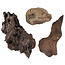 Ice Age Mammal Bones Set