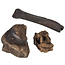 Ice Age Mammal Bones Set