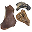 Ice Age Mammal Bones Set