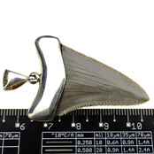 Silver pendant with fossil shark tooth