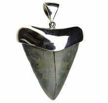 Silver pendant with fossil shark tooth