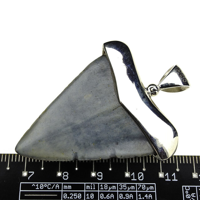 Silver pendant with fossil shark tooth