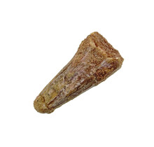 Pterosauriër tand uit Marokko