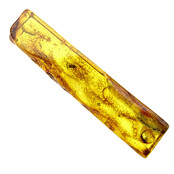 Baltic amber with inclusions, no apparent insect