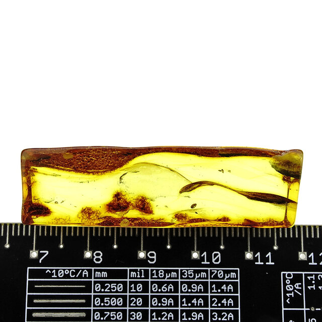 Baltischer Bernstein mit Baltischer Bernstein mit Einschlüssen, keine erkennbaren Insekten