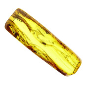 Baltic amber with enclosed fly