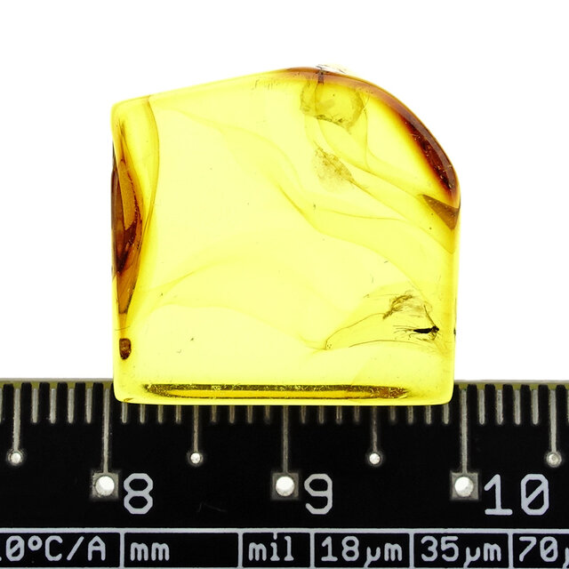 Baltischer Bernstein mit  eingeschlossenem Mücke