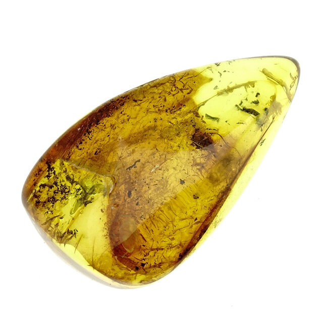 Baltic amber with inclusions, no apparent insect