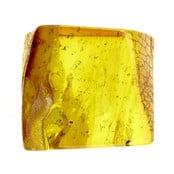 Baltic amber with enclosed fly