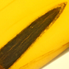 Baltic amber with enclosed leaf