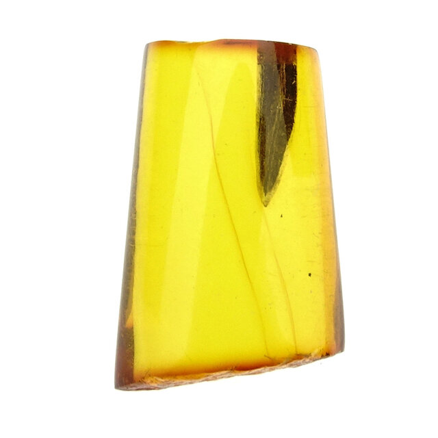 Baltischer Bernstein mit eingeschlossenem Blatt