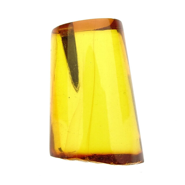 Baltic amber with enclosed leaf