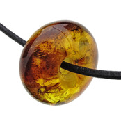 Baltic amber donut pendant with embedded wasp